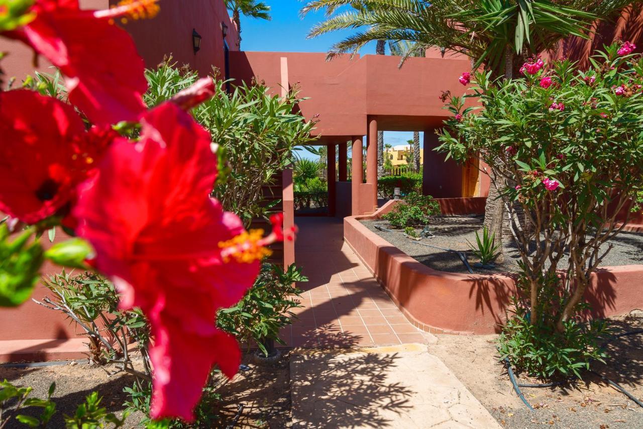 La Rosa Dei Venti Lägenhet Corralejo Exteriör bild